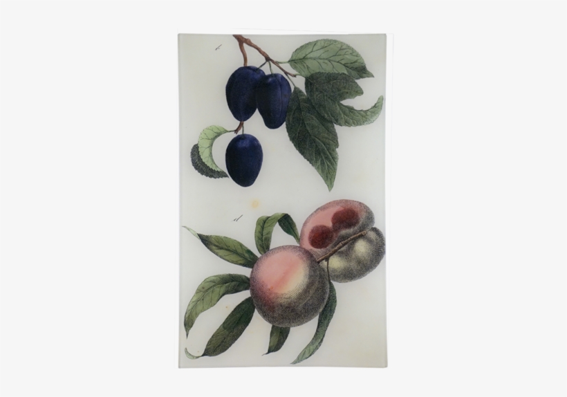 Plum - Fruit, transparent png