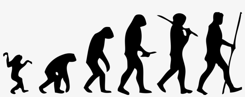 Human Evolution Scheme - Human Evolution Png, transparent png