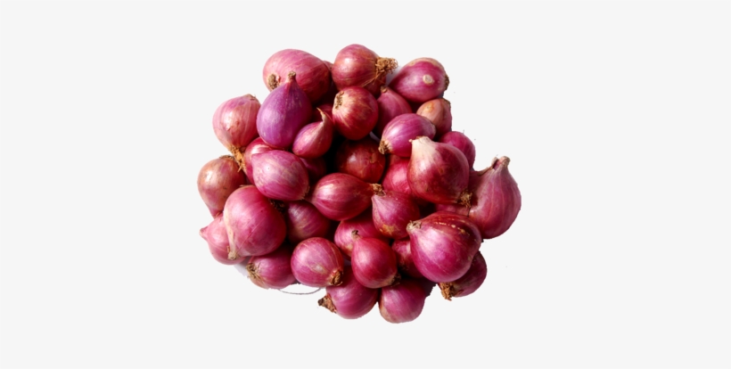 Free Library Small At Rs Kilogram Payaz Piaja Piyaz - Small Onion In Kerala, transparent png