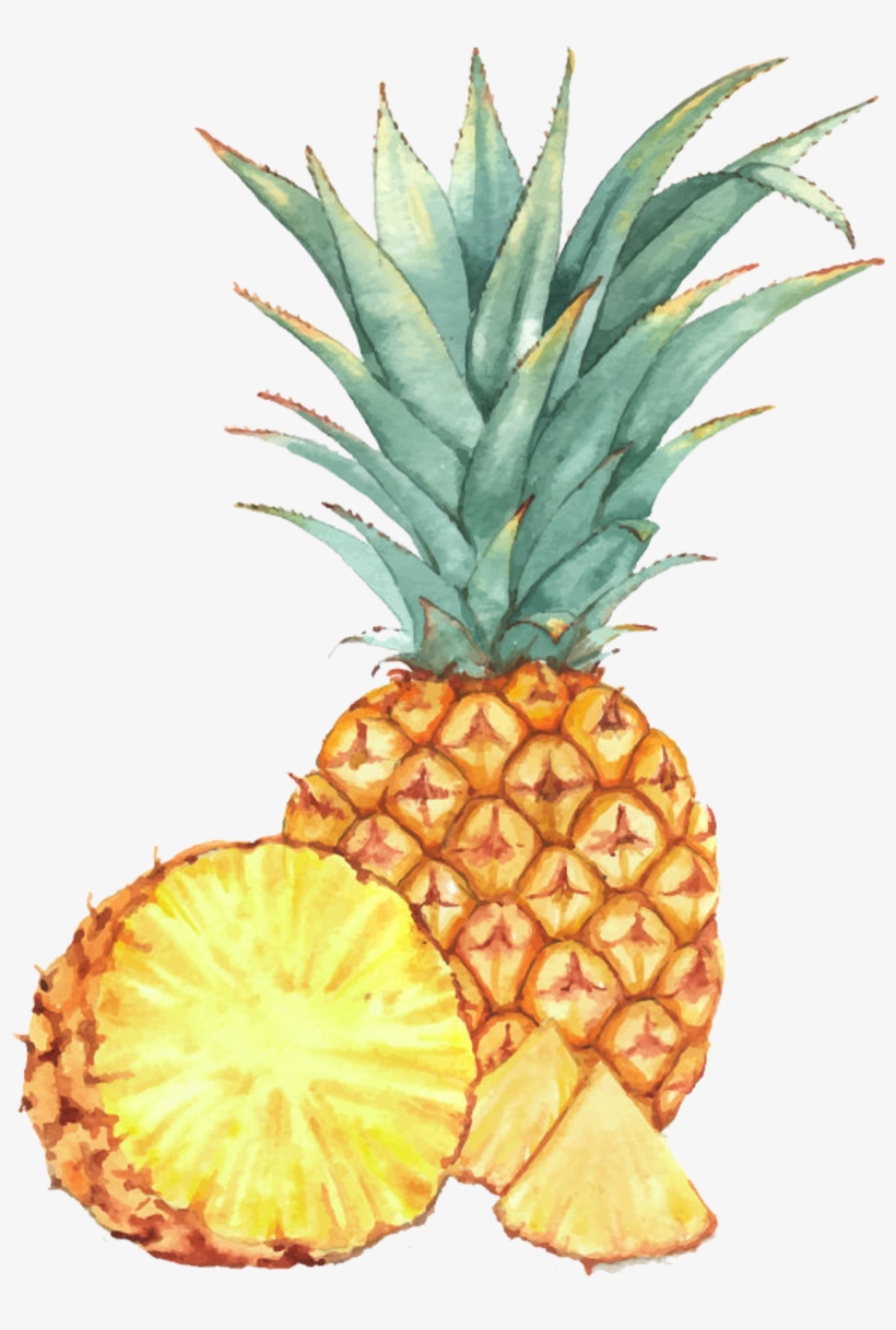 Watercolor Painting Fruit Drawing Illustration, transparent png