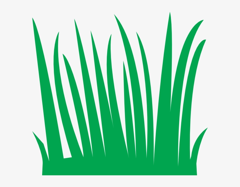 AN EASY PAPER GRASS BORDER DESIGN FOR BULLETIN BOARDS, 41 OFF