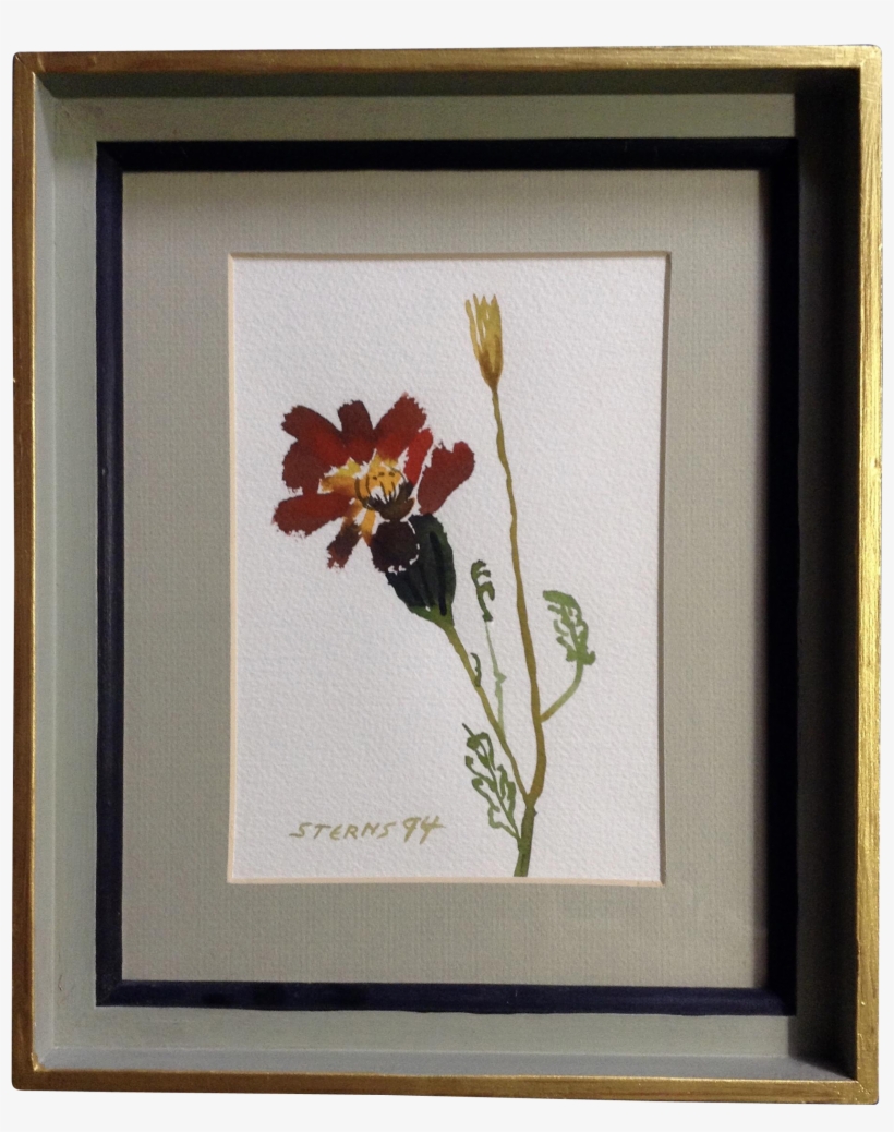 Sterns, Watercolor Painting Blooming Flower Works On - Canna Lily, transparent png