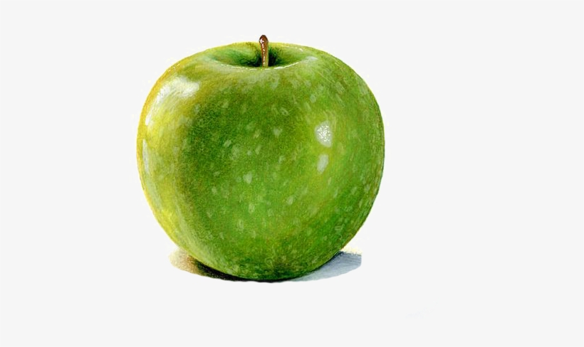 Granny Smith Watercolor Painting Apple Drawing Illustration - Green Apple Botanical Illustration, transparent png
