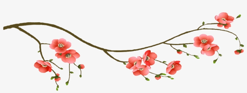 Cherry Blossom Branch2 - Cherry Blossom Branch Png, transparent png