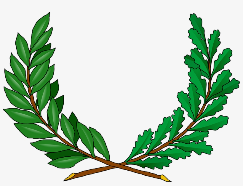How To Set Use Tree Vines Clipart, transparent png