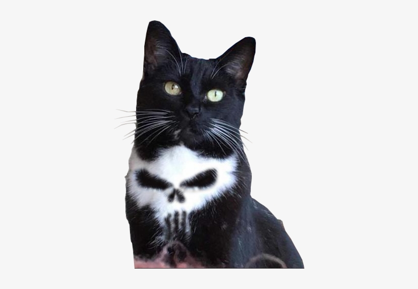 Cutout - Punisher Cat, transparent png