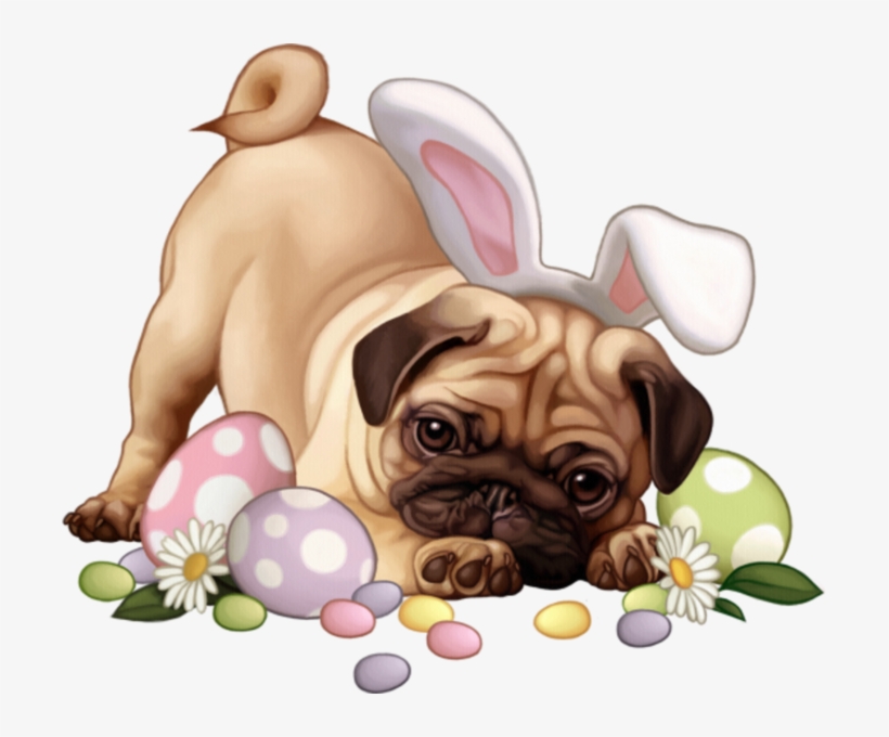 Share This Image - Perros Pascuas Png, transparent png