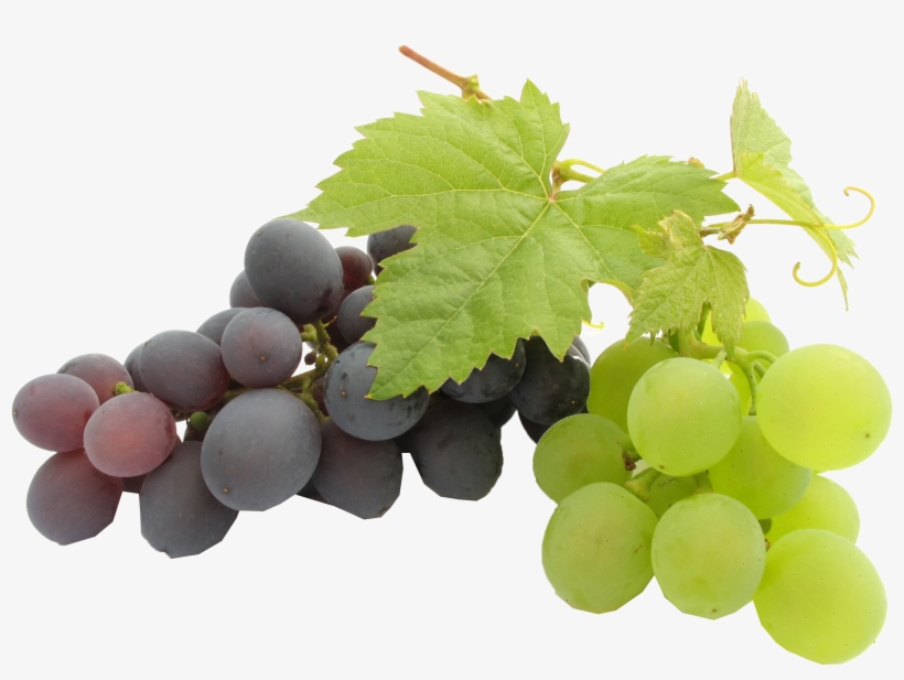 Grapes Png - Best Pure Grape Seed Oil| (240ml), transparent png