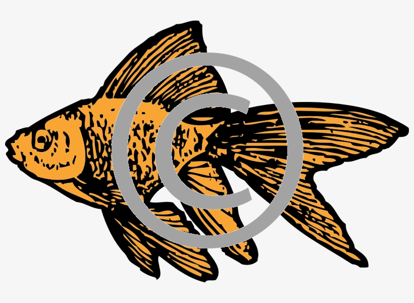Goldfish - Png - Goldfish Clip Art, transparent png
