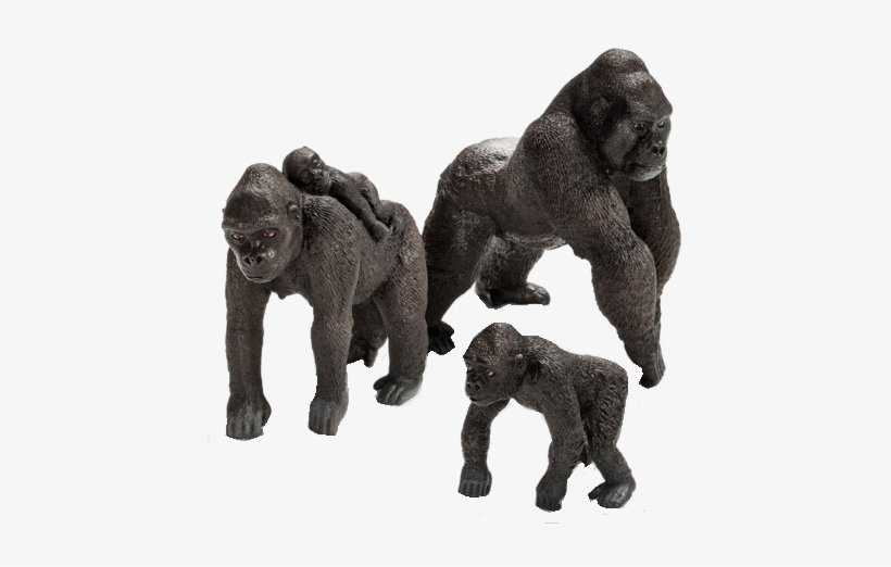 Graphic Free Congo Playfield Gorillas Modfather - Safari Ltd Gorilla Vs Schleich, transparent png