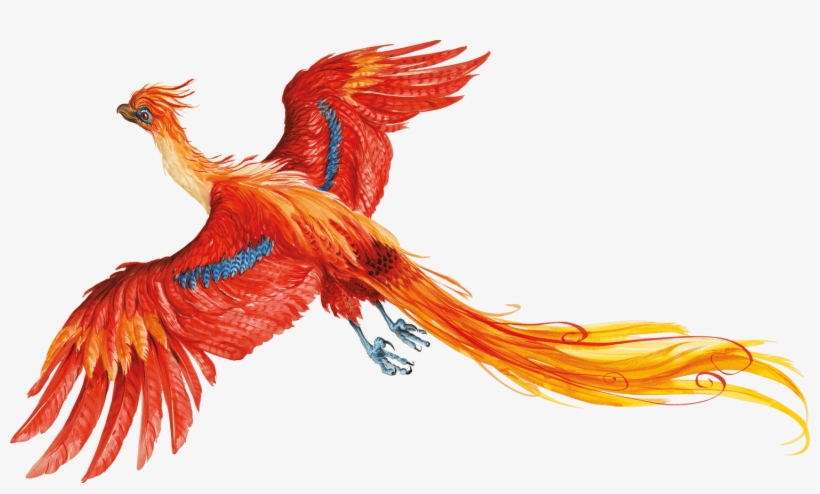 Harry Potter - Harry Potter And The Chamber Of Secrets Illustrations, transparent png