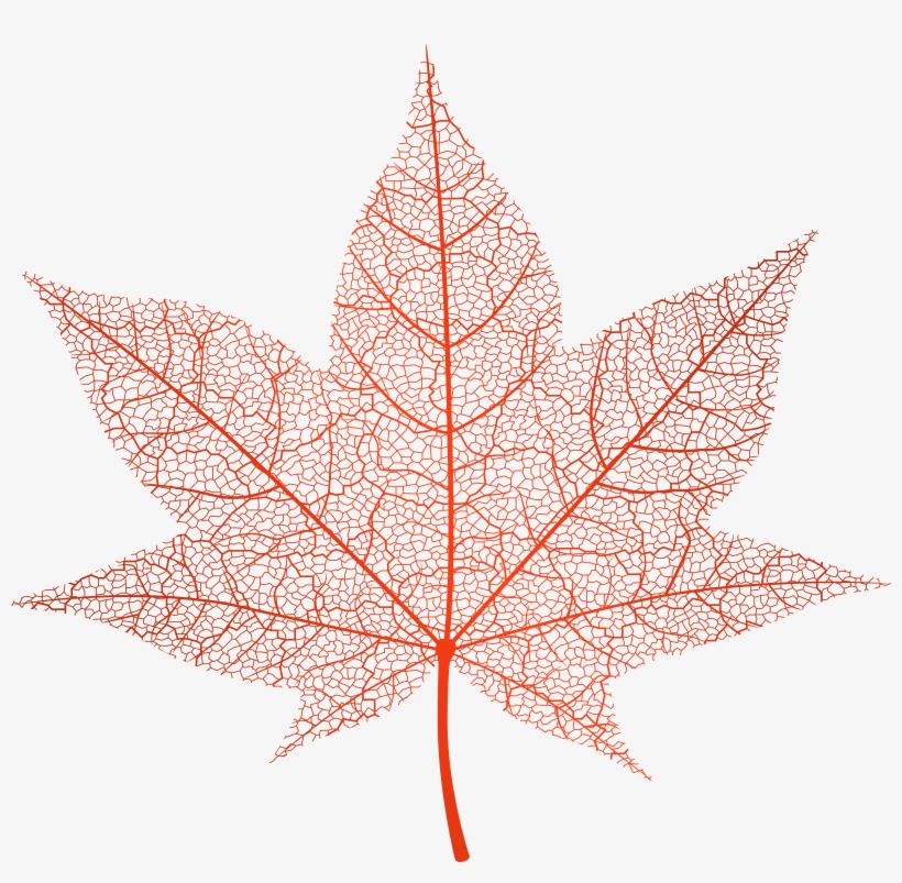Transparent Red Autumn Leaf Png Clip Art Image - Pink Autumn Leaf Png, transparent png