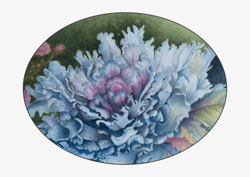 Blog-easel Notes 4 All Artist Hearts - Echeveria, transparent png