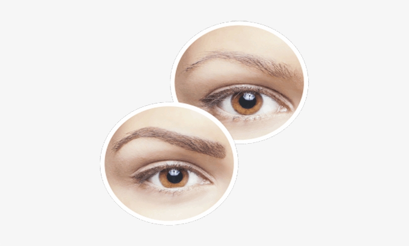 Sleek Brows Leuven - Sleek, transparent png