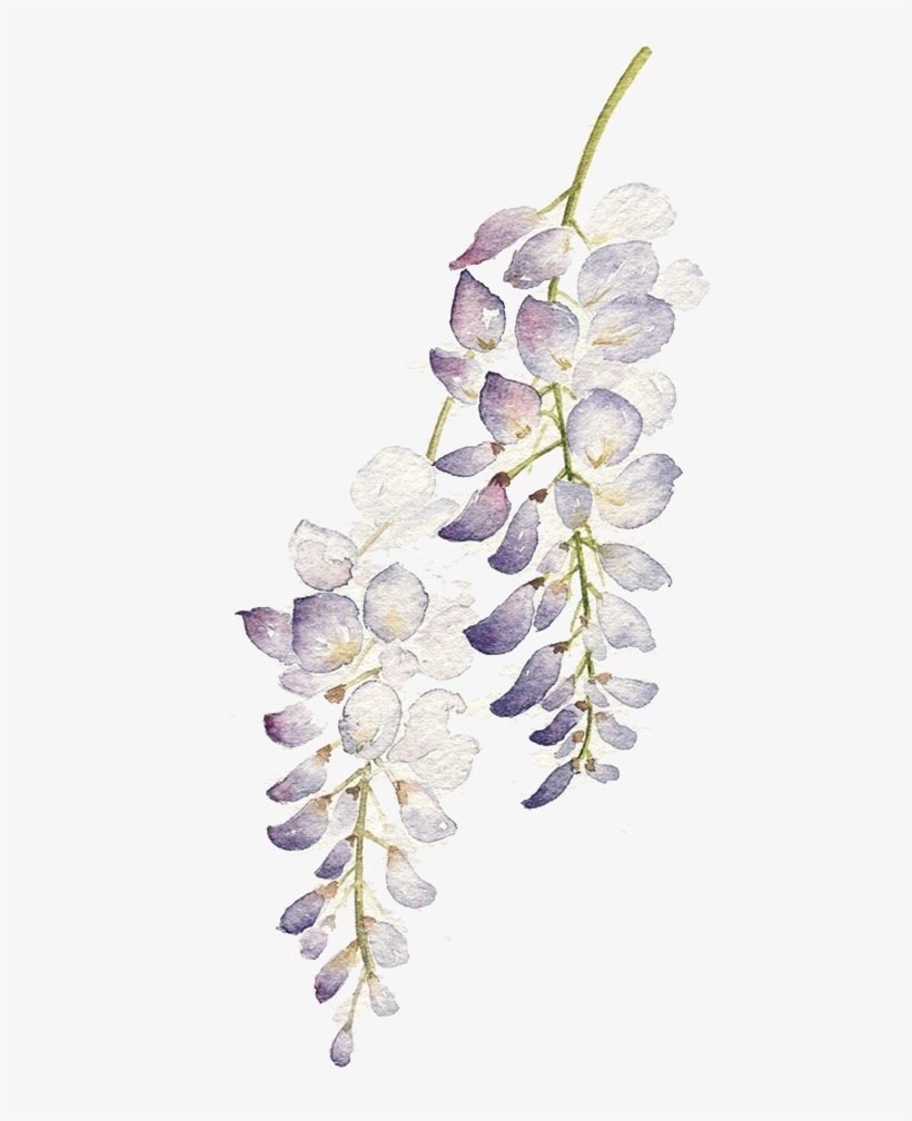 Graphic Flowers Watercolour Painting Purple Flower - Watercolor Purple Flowers Png, transparent png