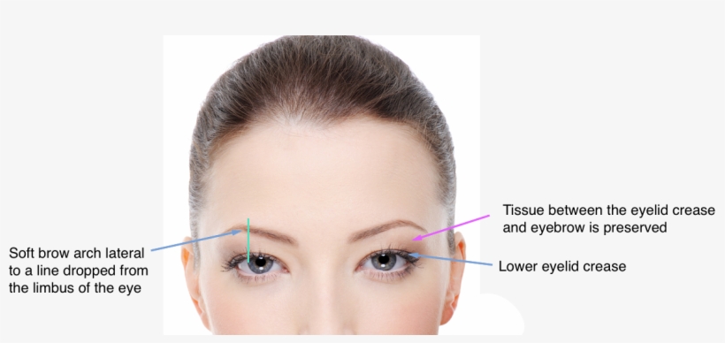 Brow Lift - Lure Glam Face And Eye Cupping Set Ing Facial A, transparent png