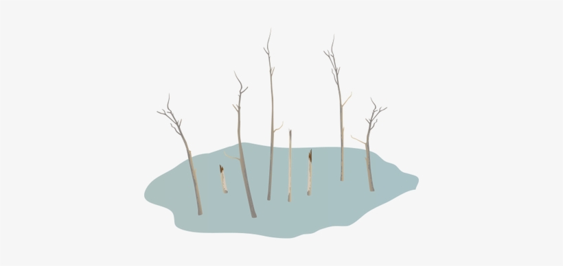 Ian Symbol Climate Change Ghost Forest - Oasis, transparent png