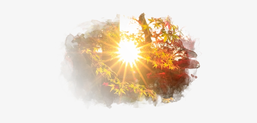 Essential Body - Sunlight, transparent png