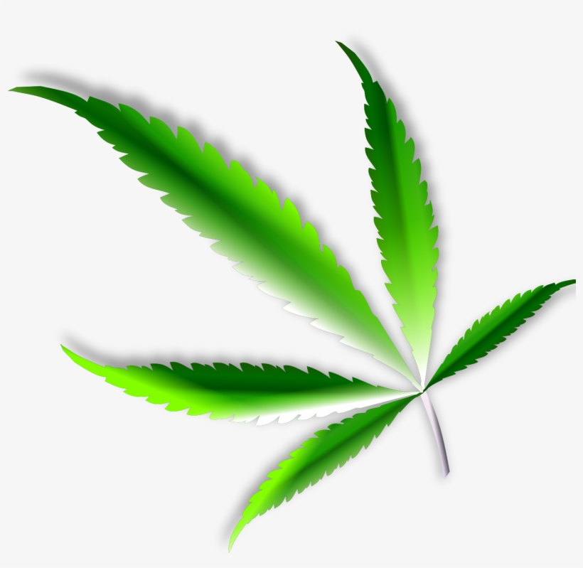 This Free Icons Png Design Of Cannabis Leaf, transparent png