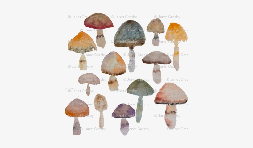 Watercolor Mushrooms - Naturals - Watercolor Painting, transparent png