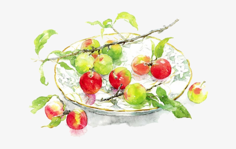 Clip Art Library Download Apples Transparent Watercolor - Marie's Watercolor, transparent png