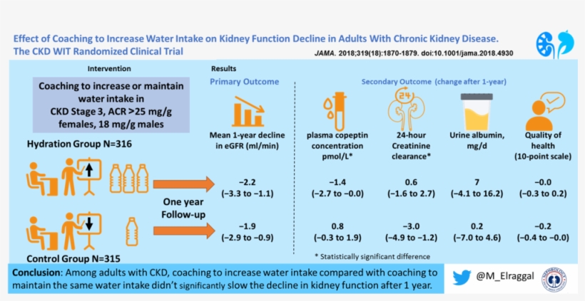 Wit-ckd Visual Abstract - Water, transparent png