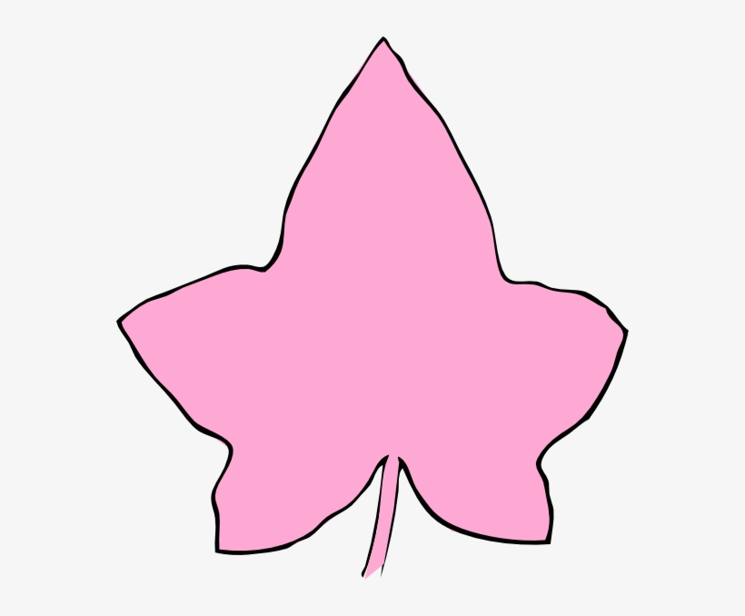 Download Transparent Ivy Clipart - Aka Ivy Leaf Clip Art - PNGkit