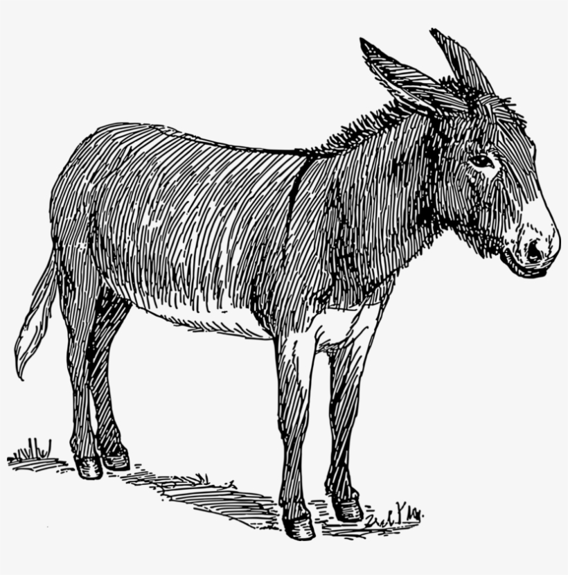 Donkey Mule Drawing Line Art Blanket - Donkey Drawing, transparent png