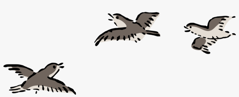 How To Set Use Birds Flying Svg Vector, transparent png