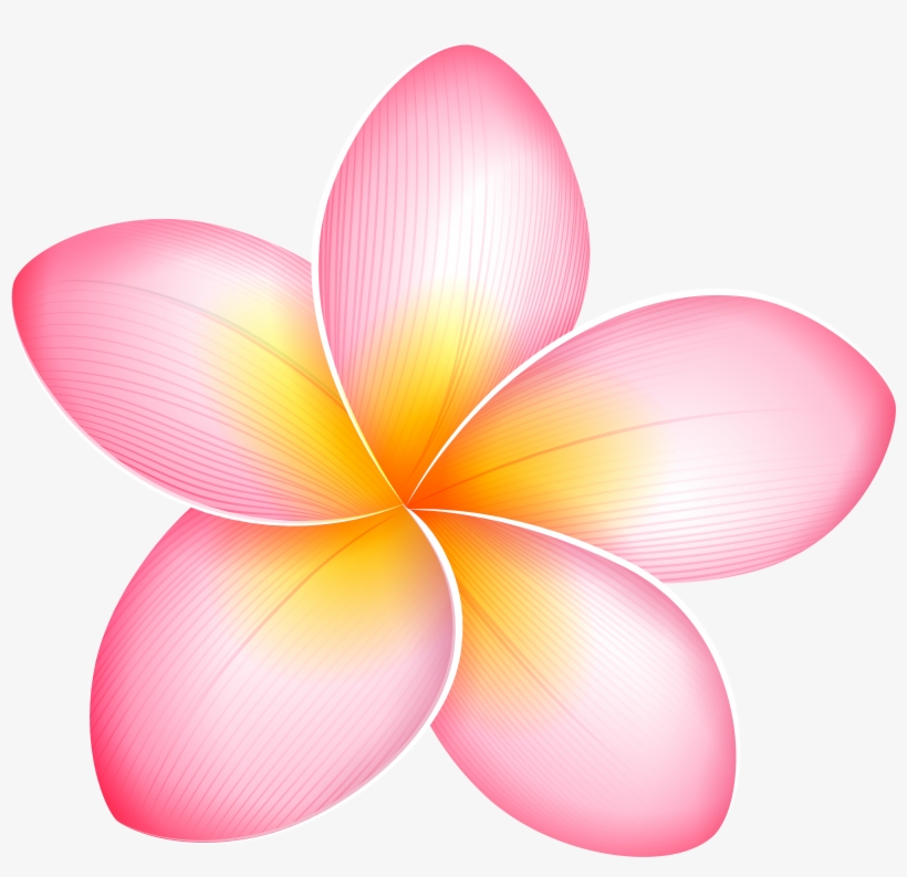 Pink Exotic Flower Png Clip Art - Clip Art, transparent png