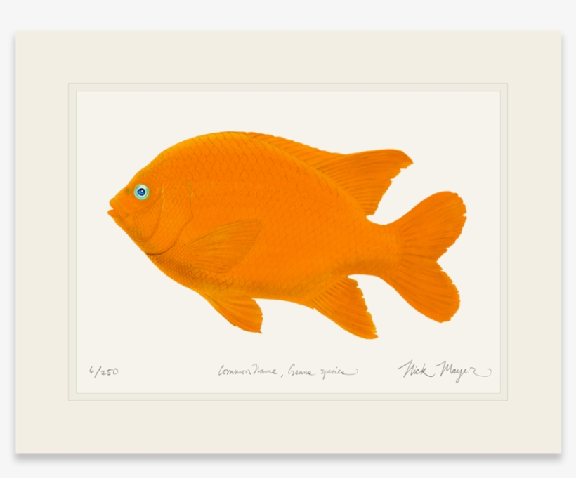 Garibaldi - Cafepress Garibaldi W Sig Rectangular Canvas Pillow, transparent png