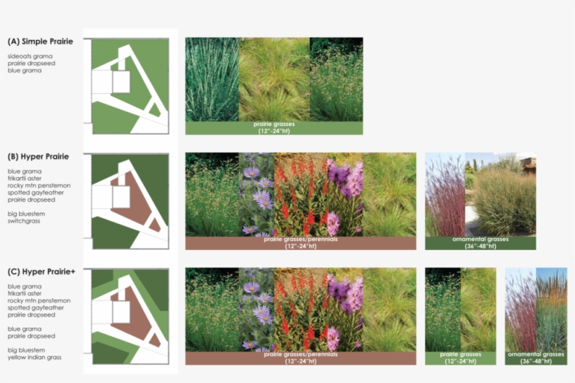 Roofdeckplanting, transparent png
