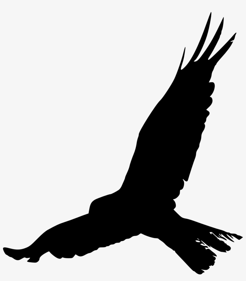 Bird Crows Silhouette Beak Feather - Bird Silhouette Png, transparent png
