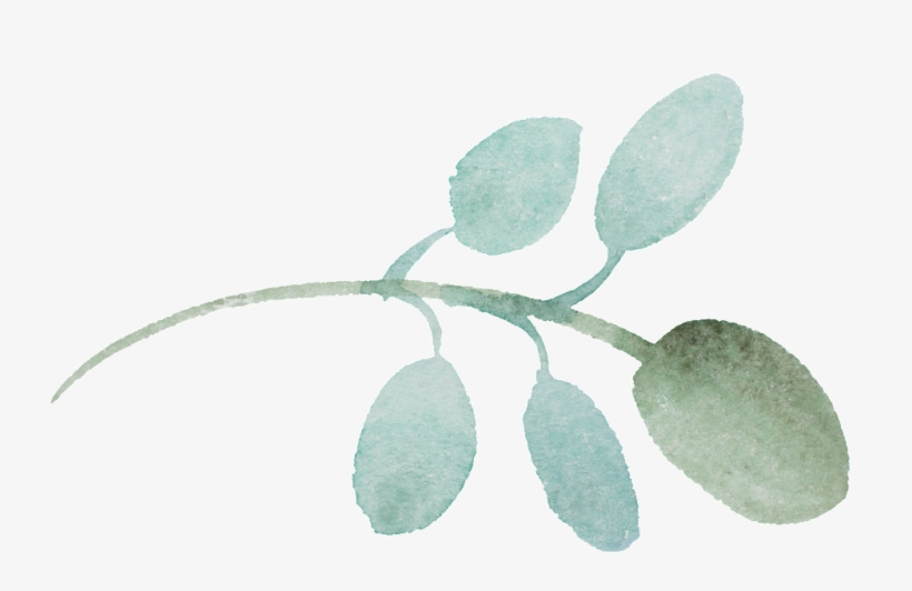 This Graphics Is Round Leaf Cartoon Transparent About - Leaf, transparent png