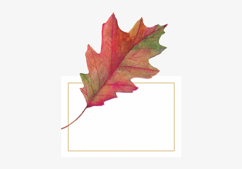 Watercolor Leaves Die-cut Place Cards 96 Ct - Caspari Watercolor Leaves Diecut Place Cards, transparent png