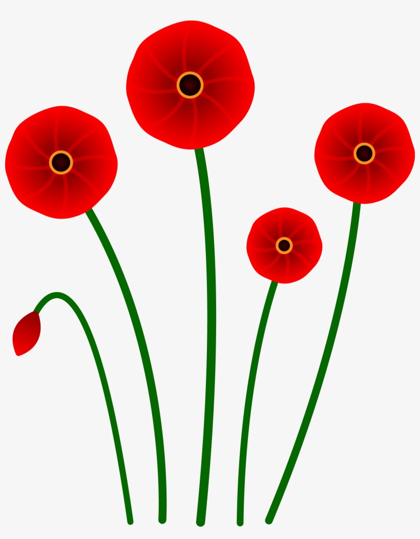 Red Poppy Flowers - Poppy Flower Clip Art, transparent png