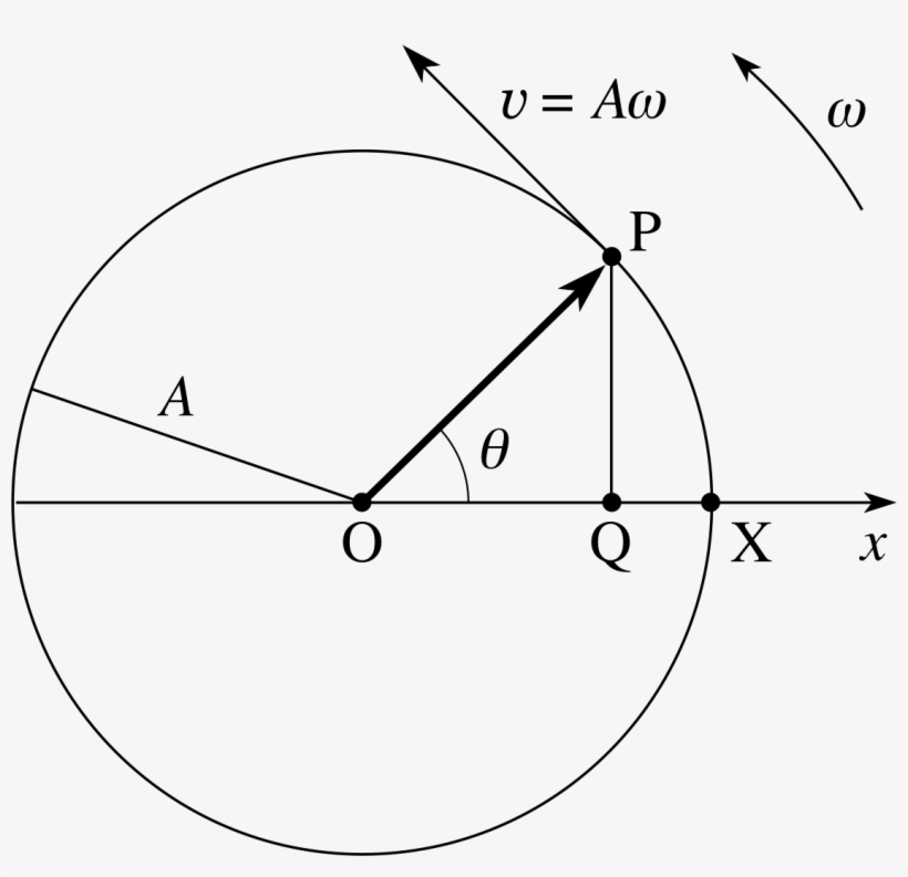 Pplato - Shm Phasor Diagram, transparent png