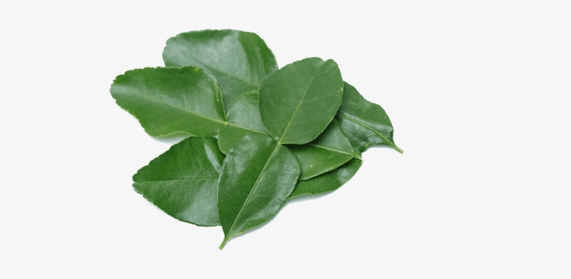 Makrut Lime Leaves - Бергамот Лист, transparent png