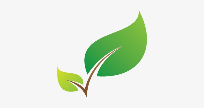 Tree Services - Online Shopping, transparent png