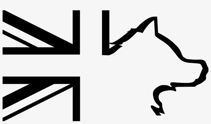 Png, X - Ratio, transparent png