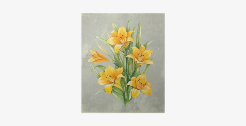 Watercolor Illustration Of Lily Flower - Watercolor Painting, transparent png