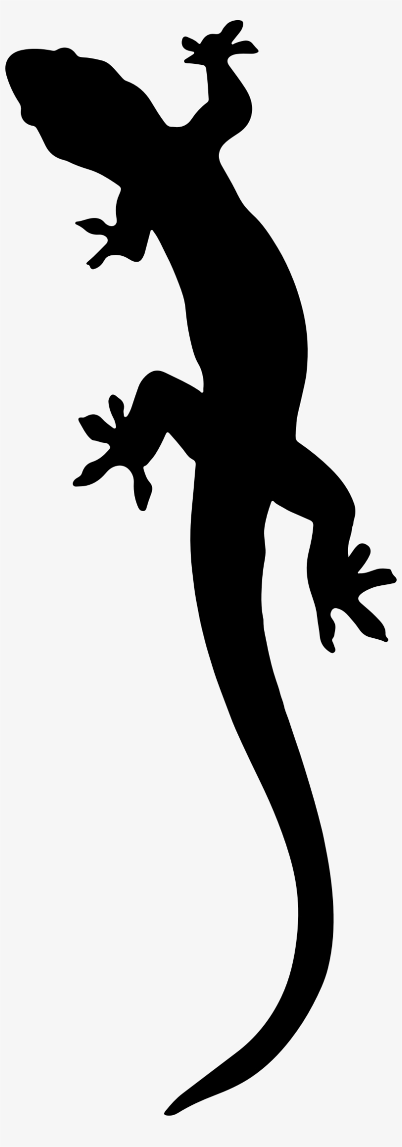 Lizard - Gecko Clipart, transparent png