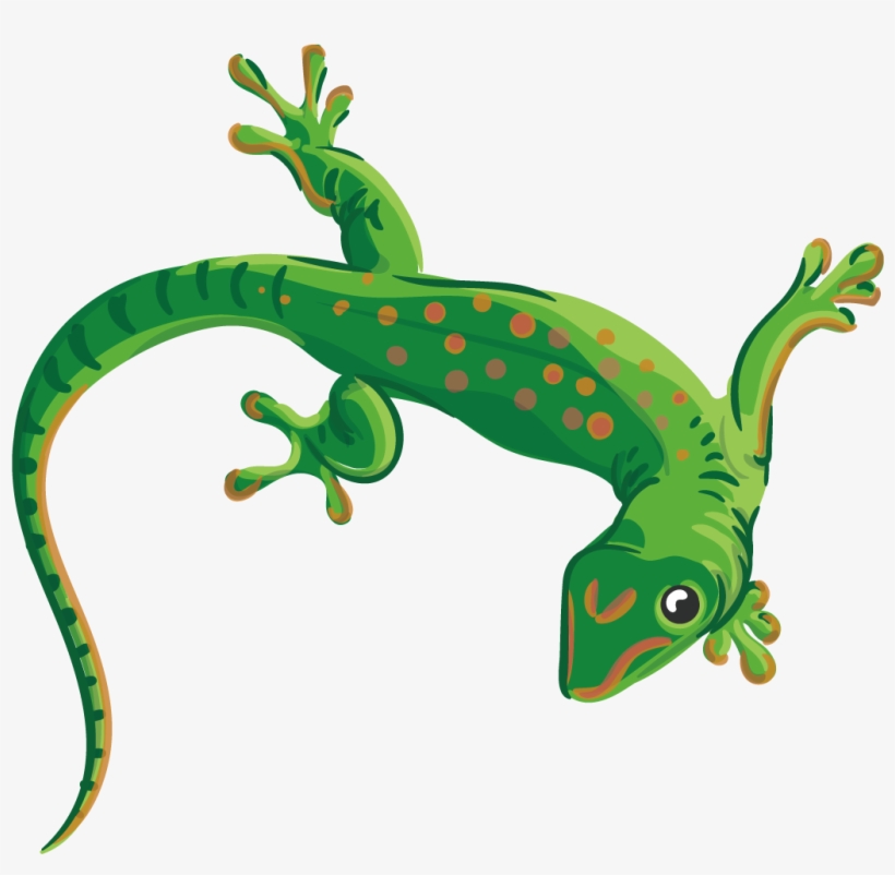 Picture Library Stock Reptile Lizard Chameleons Euclidean - Gecko Vector, transparent png