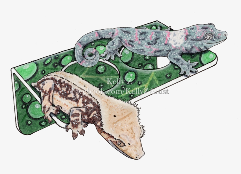 C3 Ledges Custom Illustration - Illustration, transparent png