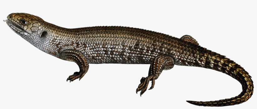 Lizard Png - Reptile, transparent png