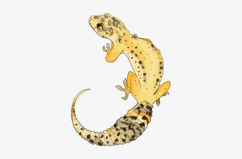 5 - Eastern Newt, transparent png
