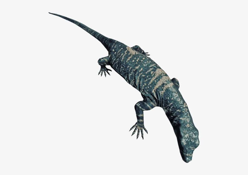 Lizard, transparent png
