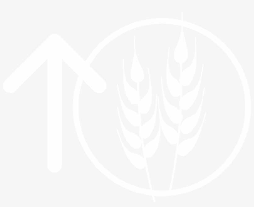 Wheat Photo - Wheat, transparent png