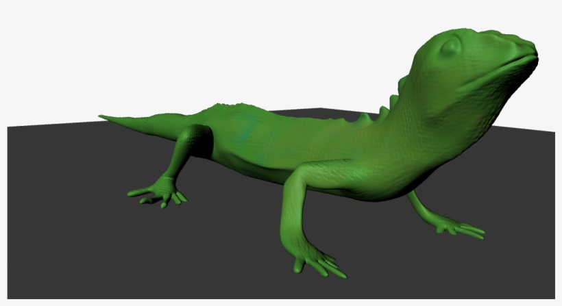 The Green Lizard Lizard - Carolina Anole, transparent png