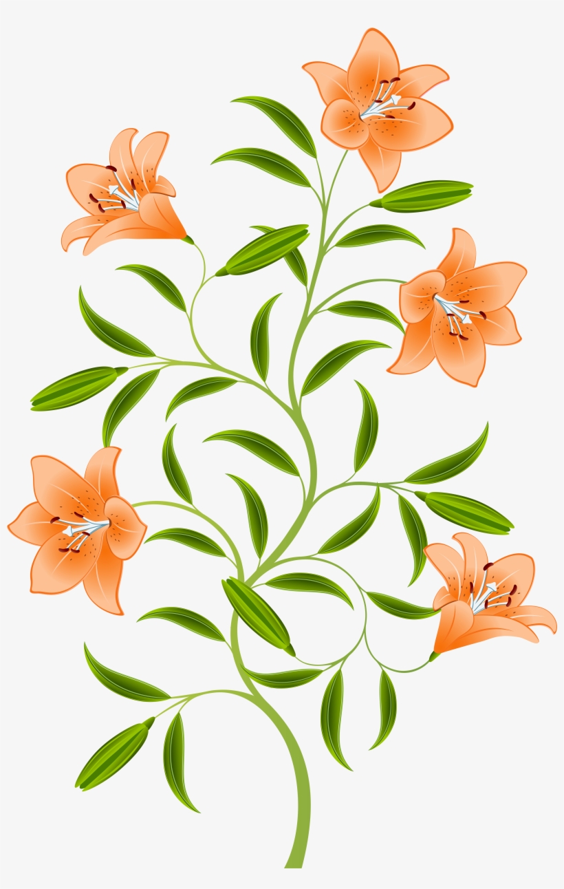 Orange And Green Flowers Png, transparent png